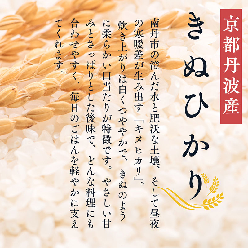 米粉そうめん 10食セット　そうめん 小麦粉不使用 グルテンフリー 冷凍 保存食 個包装 素麺 京都府 南丹市