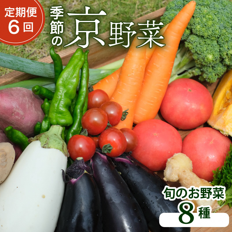 野菜 【 定期便 6回 】 旬 のお野菜 詰め合わせ 京都 京野菜 8種 野菜セット 丹波野菜 旬の野菜 8種類 産直 新鮮 朝採れ 詰めあわせ お取り寄せ 腸活 タイパ 食育 健康 グルメ 季節の野菜 ギフト 冷蔵