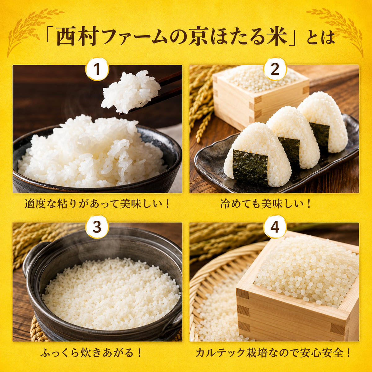 令和7年産 京都丹波産 コシヒカリ 10kg 西村ファーム 京ほたる米