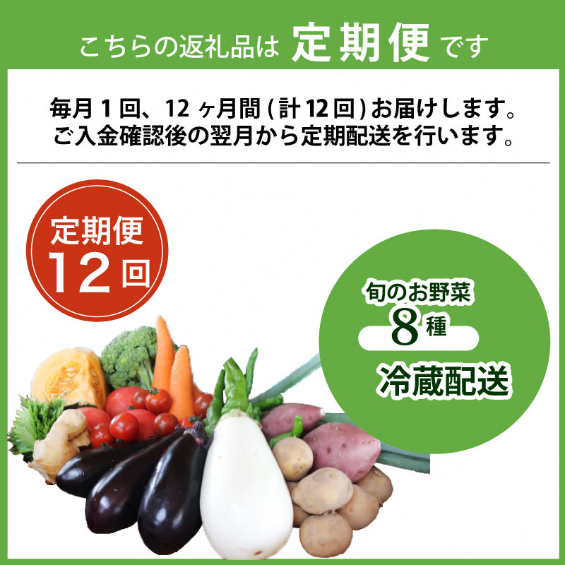 野菜 【 定期便 12回 】 旬 のお野菜 詰め合わせ 京都 京野菜 8種 野菜セット 丹波野菜 旬の野菜 8種類 産直 新鮮 朝採れ 詰めあわせ お取り寄せ 腸活 タイパ 食育 健康 グルメ 季節の野菜 ギフト 冷蔵