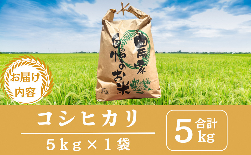 【先行予約】無洗米令和8年産 コシヒカリ 5kg 【 お米 米 コメ 精米 南丹市 】 新米26