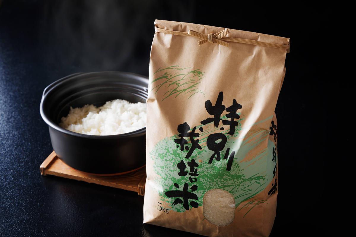 定期便 6回　料理旅館きぐすりや　令和8年産 　特別栽培米キヌヒカリ 5kg 新米26