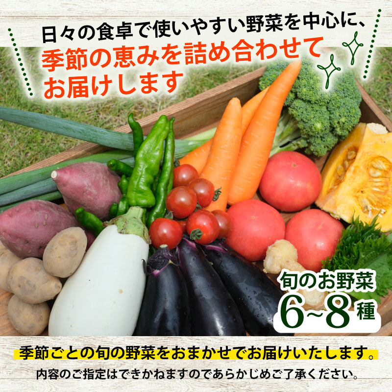 【産地直送】旬のお野菜詰め合わせ 京野菜セット8種類 平飼い卵 6個付き