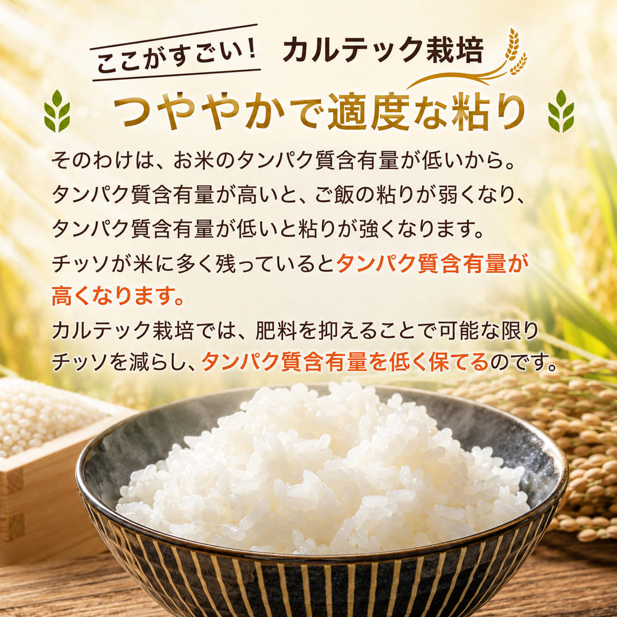 令和7年産 京都丹波産 コシヒカリ 10kg 西村ファーム 京ほたる米