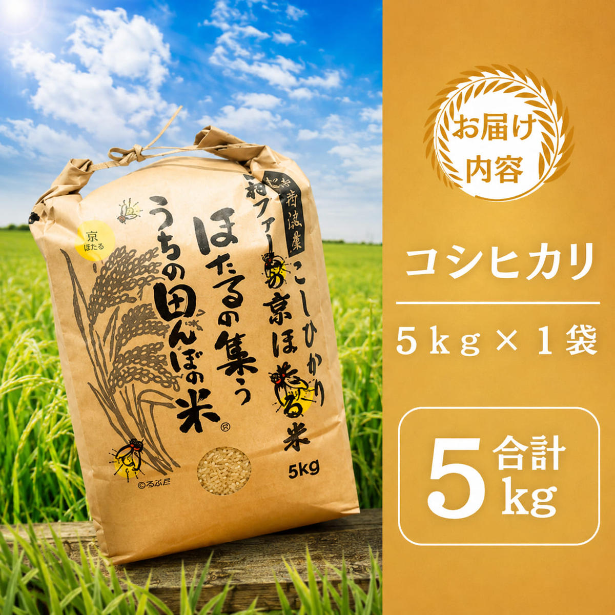令和7年産 京都丹波産 コシヒカリ 5kg 西村ファーム 京ほたる米