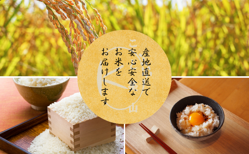 令和7年度産 にじのきらめき 10kg 美山町産 こと美山米