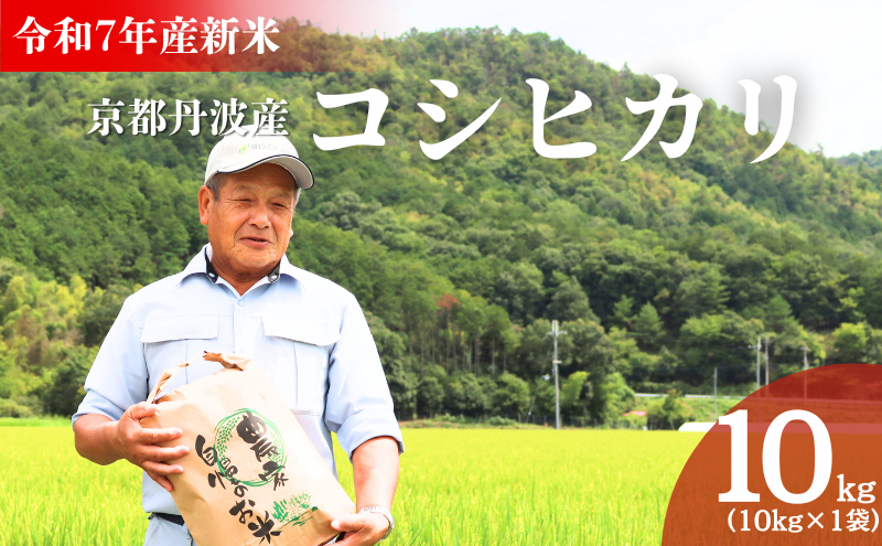 令和7年産 京都丹波産コシヒカリ 10kg　米 こしひかり 精米 白米 