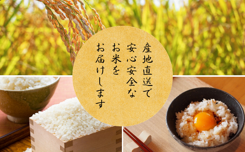 【令和8年産新米 予約】 京都丹波産 コシヒカリ 真の大地 10kg 新米26