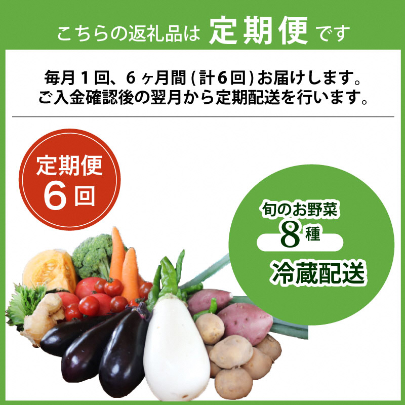 野菜 【 定期便 6回 】 旬 のお野菜 詰め合わせ 京都 京野菜 8種 野菜セット 丹波野菜 旬の野菜 8種類 産直 新鮮 朝採れ 詰めあわせ お取り寄せ 腸活 タイパ 食育 健康 グルメ 季節の野菜 ギフト 冷蔵