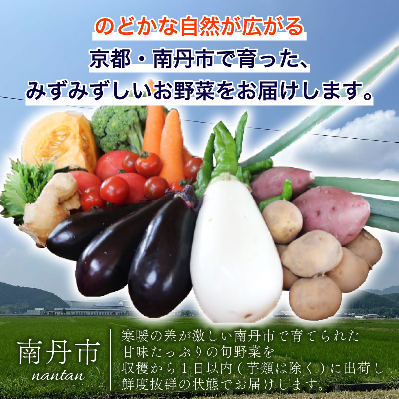 【産地直送】旬のお野菜詰め合わせ 京野菜セット8種類 平飼い卵 6個付き