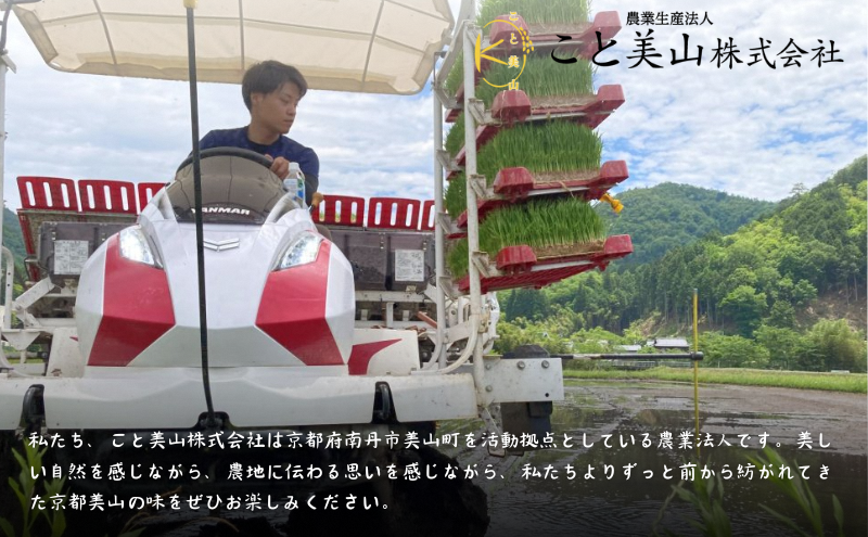【予約受付】定期便12回 令和8年産 新米 にじのきらめき 5kg 美山町産 こと美山米 令和8年 5キロ 新米26
