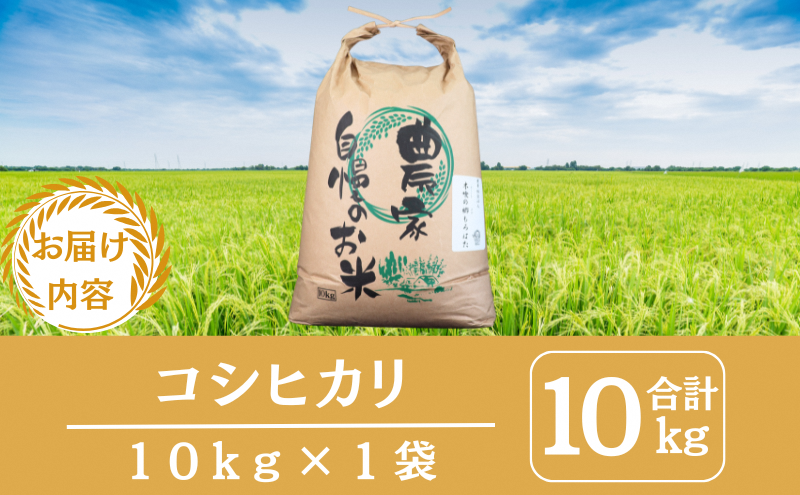 令和7年産 京都丹波産コシヒカリ 10kg　米 こしひかり 精米 白米 