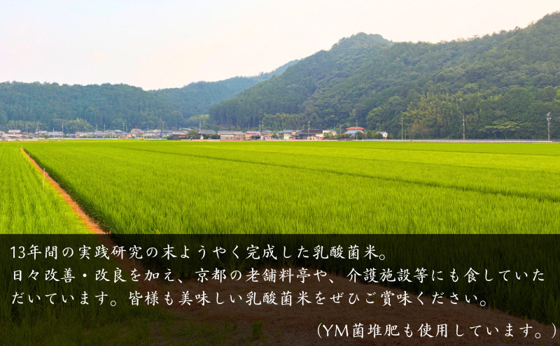京都南丹産　こしひかり　乳酸菌活用栽培米　「京み米」　5kg　無洗米