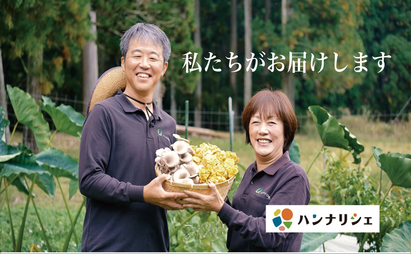 京都府産オーガニック　ヒラタケ（6パック入り約840g）
