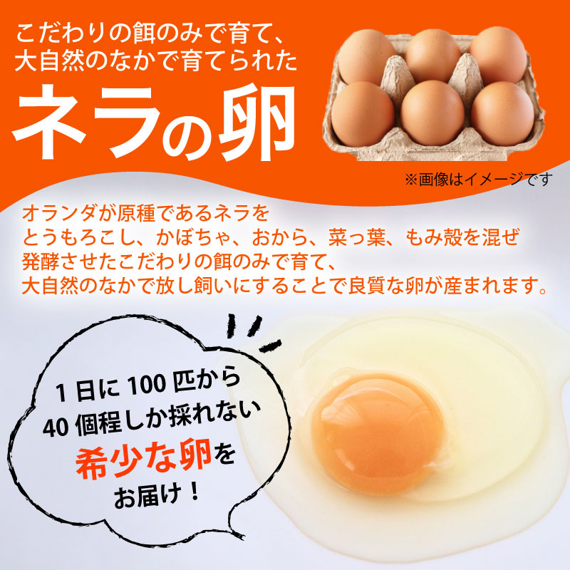 【産地直送】旬のお野菜詰め合わせ 京野菜セット8種類 平飼い卵 6個付き