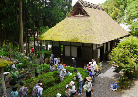 永谷宗円生家新茶まつり