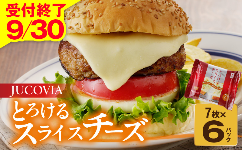 【9/30受付終了】とろけるスライスチーズ 7枚×6P【JUCOVIA ムラカワチーズ ちーず 小分け 普段使い 高評価】
