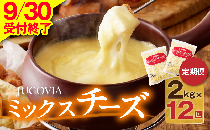 【9/30受付終了】JUCOVIA ミックスチーズ 定期便 2kg×全12回【小分け 普段使い 高評価 ちーず 乳製品 ムラカワチーズ 一人暮らし ファミリー ピザ トースト】