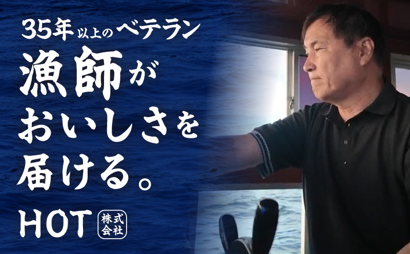 【スピード発送】泉州さわら 片身 約1kg【漁師 目利き 海鮮 鰆 泉州 新鮮 産地直送 急速冷凍】