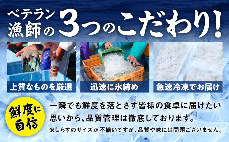 減塩 釜揚げしらす 600g×全6回【定期便 小分け シラス しらす sirasu 海鮮 人気 おすすめ 産地直送】
