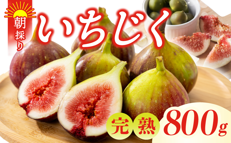 【先行予約】完熟いちじく 800g以上（2パック）【農家直送 朝採り 訳あり サイズ不揃い わけあり 産地直送 イチジク フルーツ 果物】