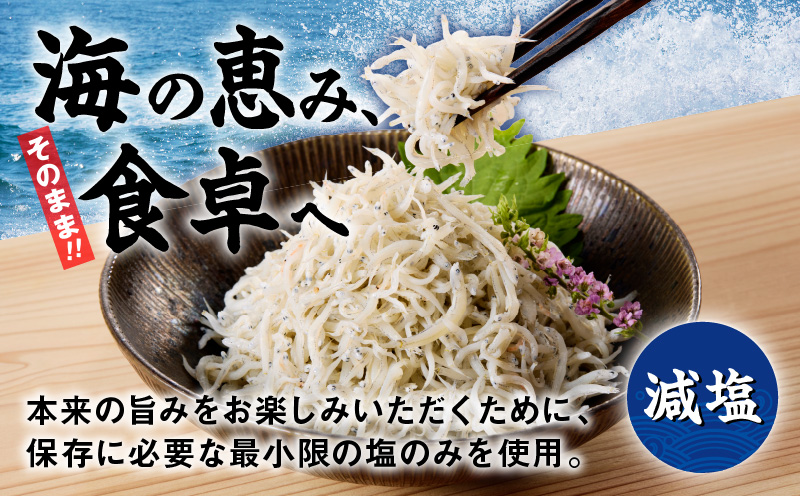 減塩 釜揚げしらす 600g×全6回【定期便 小分け シラス しらす sirasu 海鮮 人気 おすすめ 産地直送】