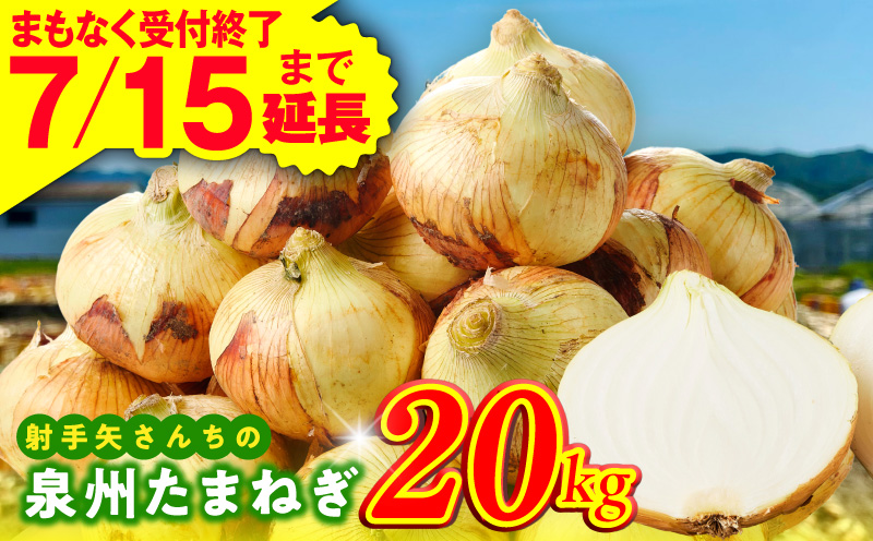 【7月15日受付終了】泉州たまねぎ 20kg 玉ねぎ 射手矢農園【タマネギ 玉葱 甘い 野菜 国産 期間限定 オニオン スライス サラダ カレー シチュー バーベキュー BBQ 肉じゃが】