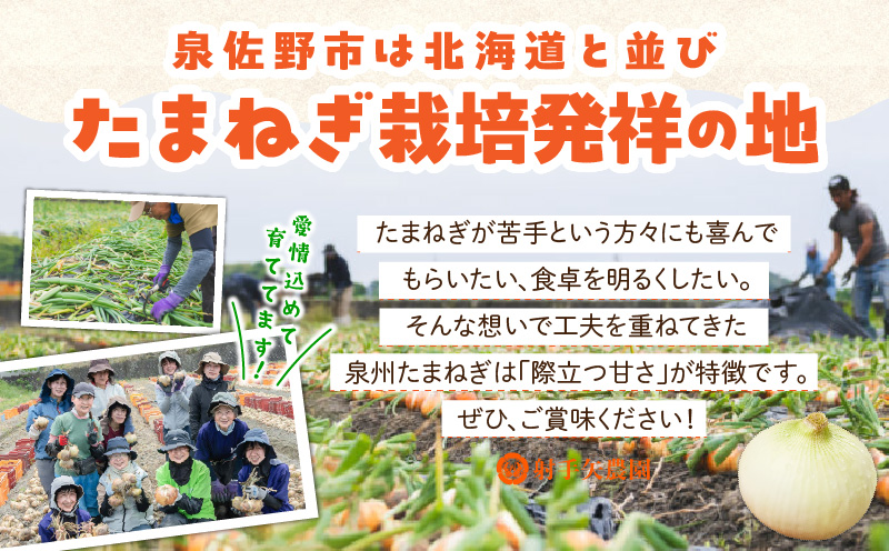 【先行予約】泉州たまねぎ 20kg 玉ねぎ 射手矢農園【タマネギ 玉葱 甘い 野菜 国産 オニオン スライス サラダ カレー シチュー バーベキュー BBQ 肉じゃが】
