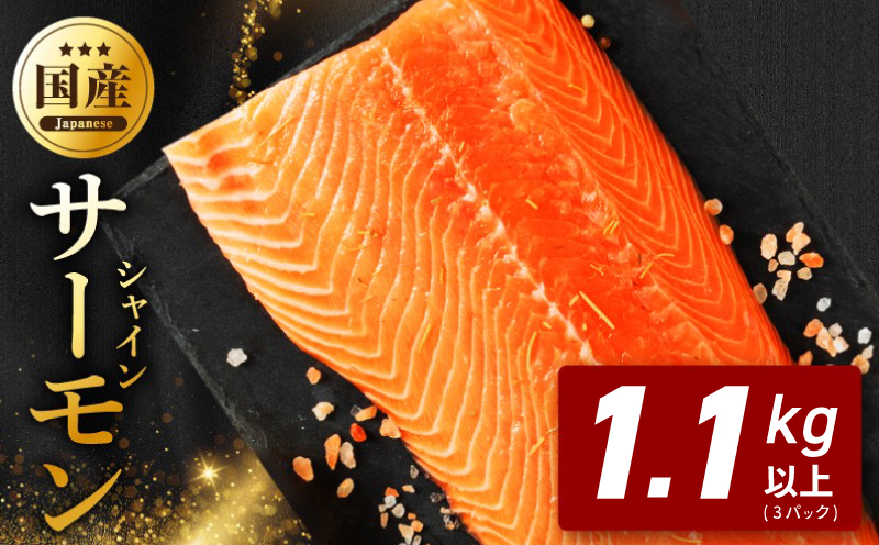 シャインサーモン 1.1kg以上【3パック 国産 小分け さーもん 鮭 さけ シャケ しゃけ 冷凍 サイズ不揃い 訳あり】