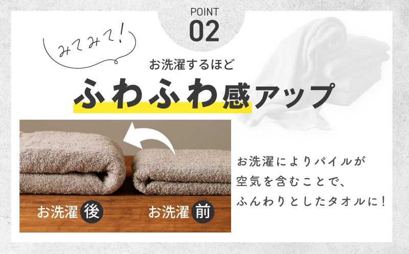 濃色カラー バスタオル 2枚（サンドベージュ）【泉州タオル 国産 吸水 普段使い シンプル 日用品 家族 ファミリー】