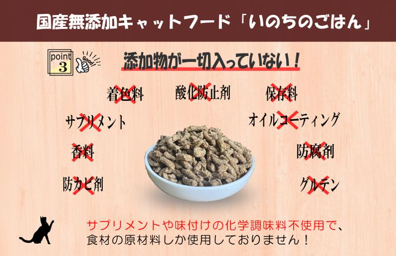 【定期便】国産無添加 キャットフード 1kg×全3回 「いのちのごはん」タンパク質 50％配合タイプ【猫 ねこ ペットフード チキン 手作り ヒューマングレード 国産】