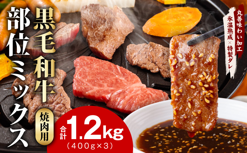【スピード発送】黒毛和牛 部位ミックス 焼肉用 1.2kg【400g×3P 氷温熟成×特製ダレ 小分け 牛肉 黒毛和牛 簡単調理  訳あり】