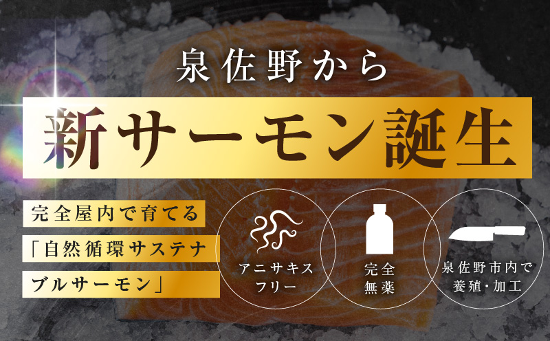 シャインサーモン 1.1kg以上【3パック 国産 小分け さーもん 鮭 さけ シャケ しゃけ 冷凍 サイズ不揃い 訳あり】