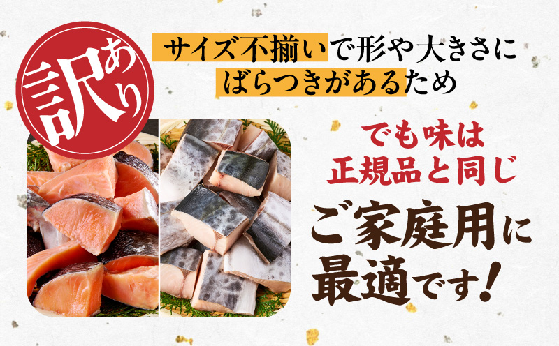 【お弁当サイズ】さわら&銀鮭 切身 計40切れ（各約50g×20切れ） 【小分け 漁師 さけ サケ 手切り  泉州 鰆 切り身 弁当 朝食 時短 訳あり サイズ不揃い 規格外 冷凍食品 】