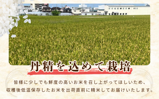 令和８年産 泉佐野産あきたこまち 10kg【赤坂農園 米 コメ お米 白米】