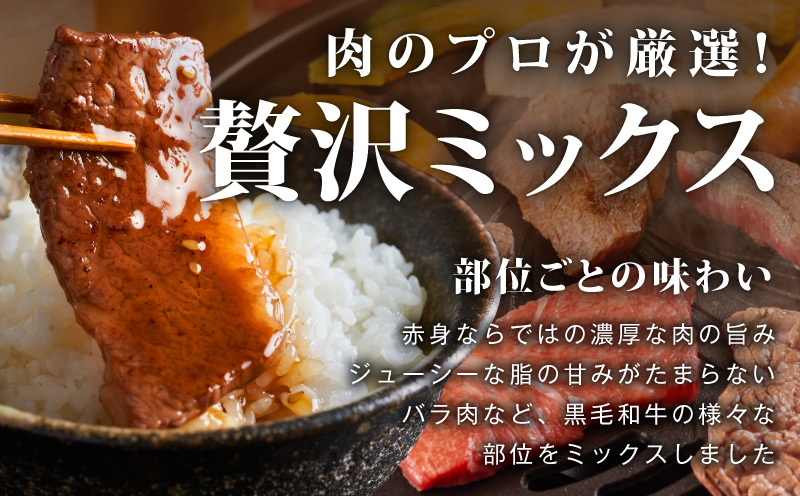 【スピード発送】黒毛和牛 部位ミックス 焼肉用 800g【400g×2P 氷温熟成×特製ダレ 小分け 牛肉 黒毛和牛 簡単調理 訳あり】
