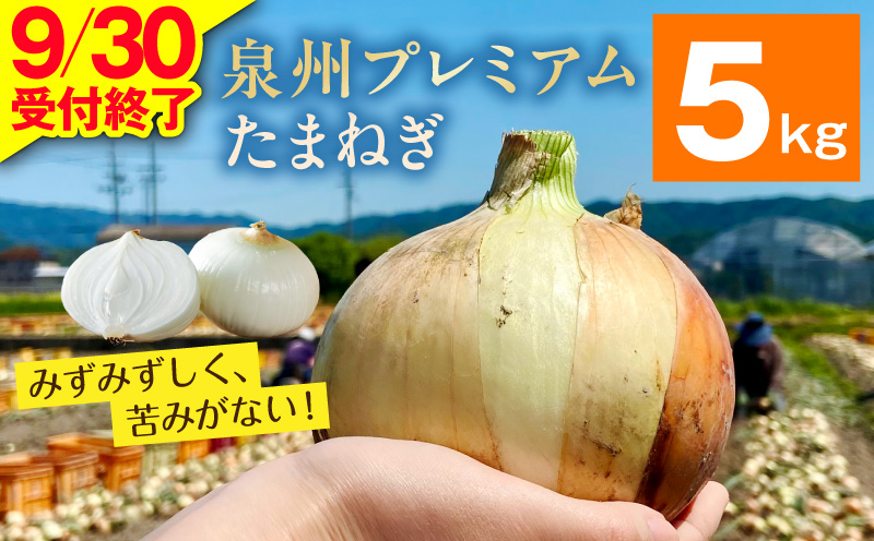 プレミアムたまねぎ 5kg【泉州 玉ねぎ タマネギ 玉葱 甘い 野菜 国産 オニオン サラダ カレー バーベキュー】