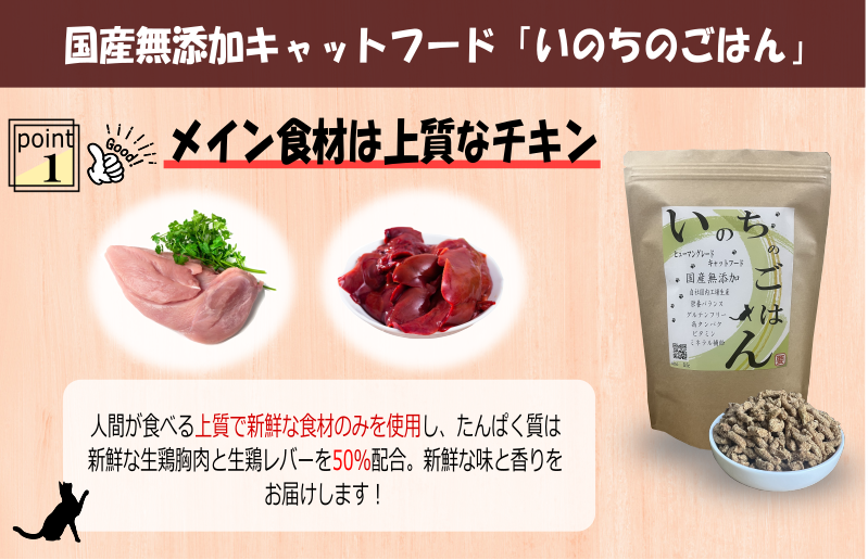 【定期便】国産無添加 キャットフード 500g×全3回 「いのちのごはん」タンパク質 50％配合タイプ【猫 ねこ ペットフード チキン 手作り ヒューマングレード 国産】