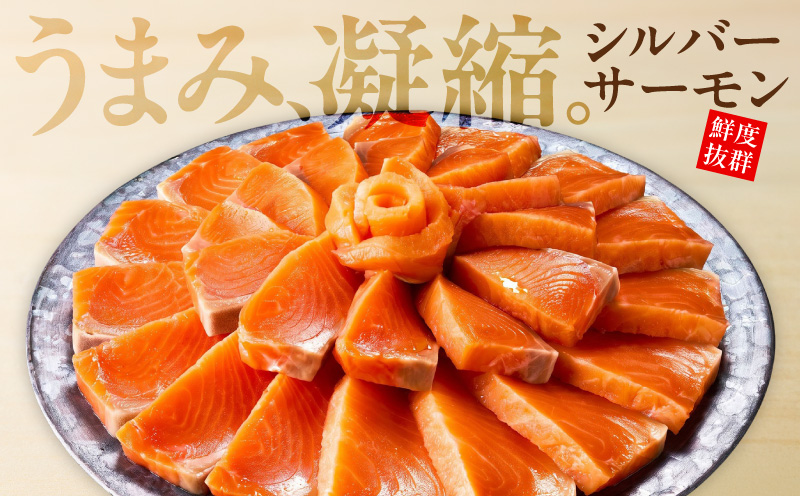 【高評価】サーモン 1kg ポーション【訳あり サイズ不揃い 刺身 海鮮丼 さーもん サラダ カルパッチョ 鮭 さけ シャケ しゃけ 人気 オススメ 小分け 冷凍】