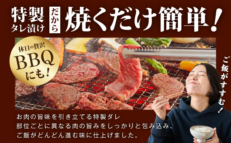 【スピード発送】黒毛和牛 部位ミックス 焼肉用 1.2kg【400g×3P 氷温熟成×特製ダレ 小分け 牛肉 黒毛和牛 簡単調理  訳あり】