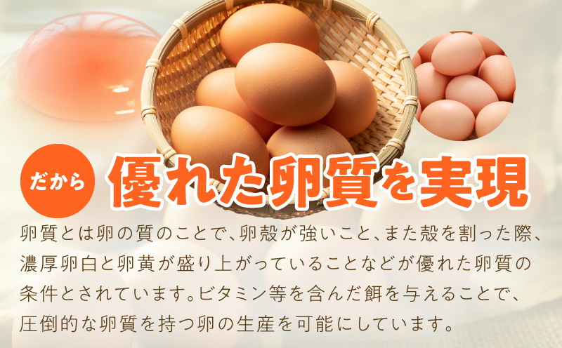 戸野さん家のこだわりタマゴ 定期便 60個×全3回 Mサイズ 合計 180個【毎月配送コース 卵 たまご 国産 濃厚 とことん餌にこだわった とのたま】