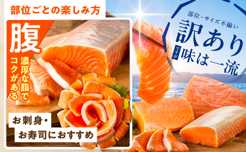 【高評価】サーモン 1kg ポーション【訳あり サイズ不揃い 刺身 海鮮丼 さーもん サラダ カルパッチョ 鮭 さけ シャケ しゃけ 人気 オススメ 小分け 冷凍】