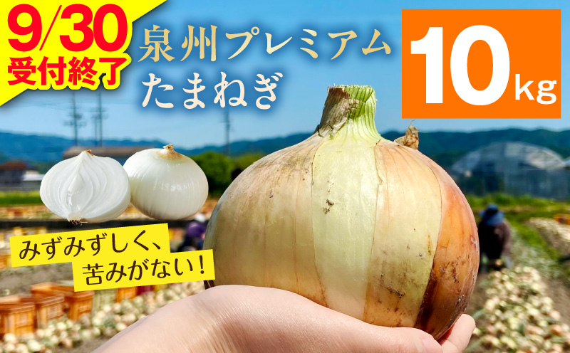 プレミアムたまねぎ 10kg【泉州 玉ねぎ タマネギ 玉葱 甘い 野菜 国産 オニオン サラダ カレー バーベキュー】