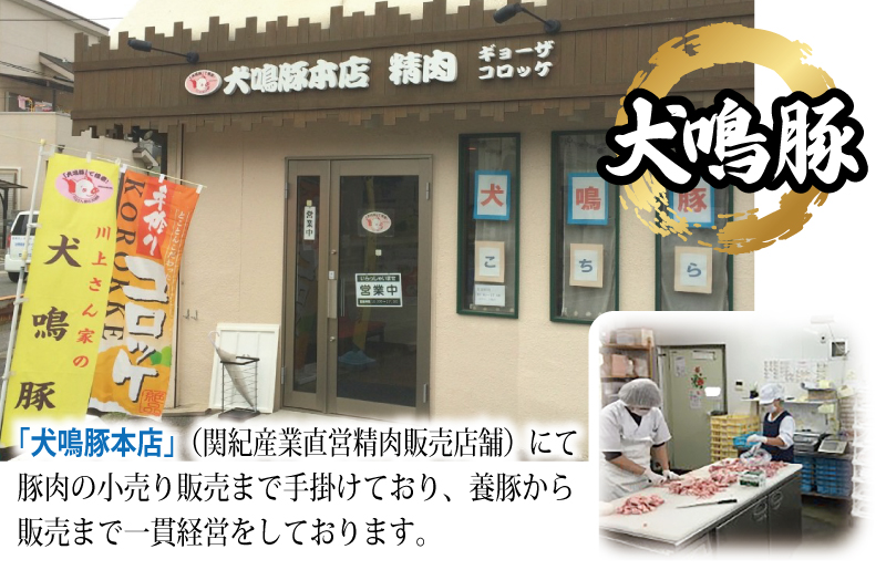 犬鳴豚の手作りプレミアムハンバーグ（20個入り） 【国産 豚肉 ぶたにく 犬鳴ポーク 普段使い】
