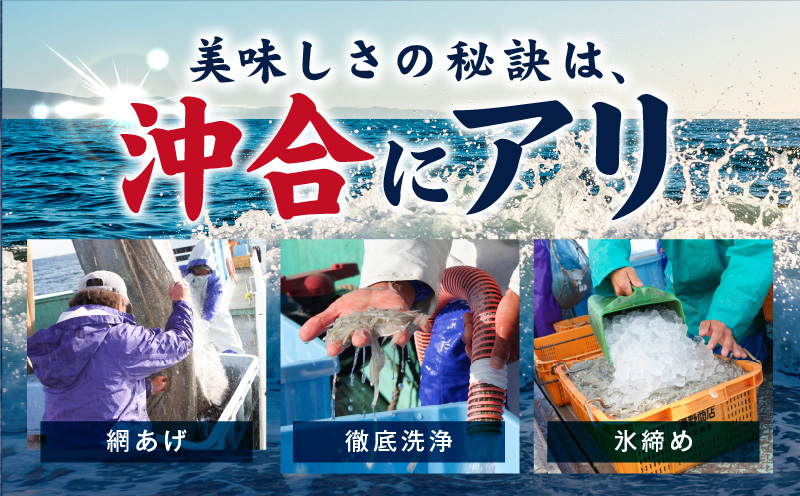 【スピード発送】減塩 釜揚げしらす 900g【小分け 150g×6P 漁師直送 シラス 国産 無添加 産地直送 sirasu 海鮮 しらす 鰯 イワシ いわし】