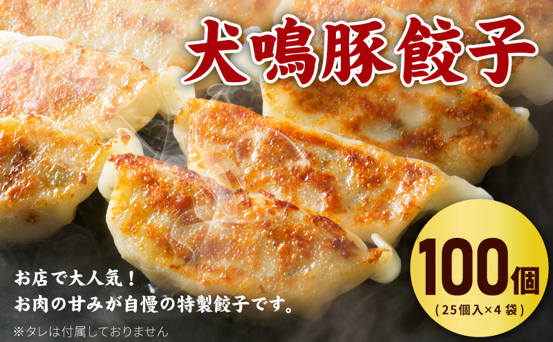 犬鳴豚餃子 100個 ハンバーグ 2個 セット【国産 豚肉 ぶたにく 犬鳴ポーク 焼くだけ 人気 総菜 冷凍】