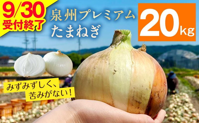 プレミアムたまねぎ 20kg【泉州 玉ねぎ タマネギ 玉葱 甘い 野菜 国産 オニオン サラダ カレー バーベキュー】