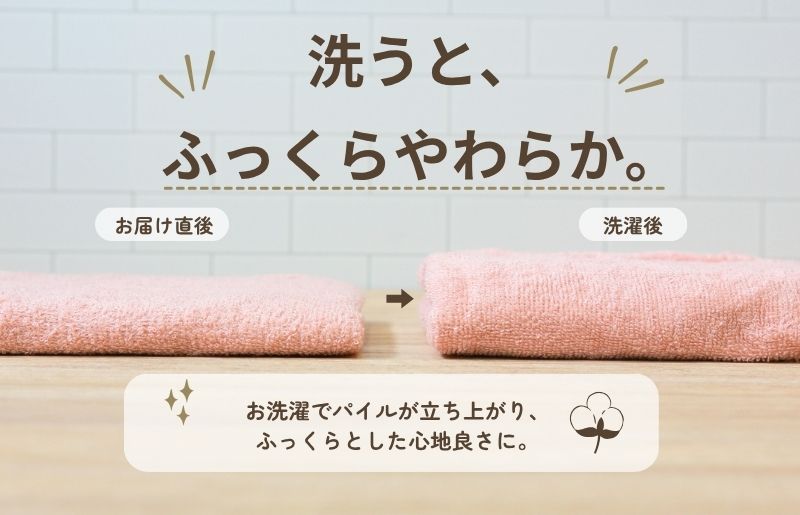 デイリーフェイスタオル 10枚セット (ピンクベージュ）【国内製造 日本