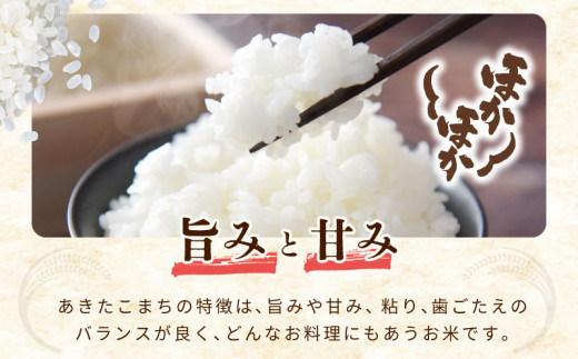 令和８年産 泉佐野産あきたこまち 10kg【赤坂農園 米 コメ お米 白米】