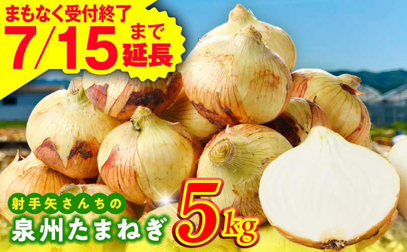 【7月15日受付終了】泉州たまねぎ 5kg 玉ねぎ 射手矢農園【タマネギ 玉葱 甘い 野菜 国産 期間限定 オニオン スライス サラダ カレー シチュー バーベキュー BBQ 肉じゃが TVで紹介！】